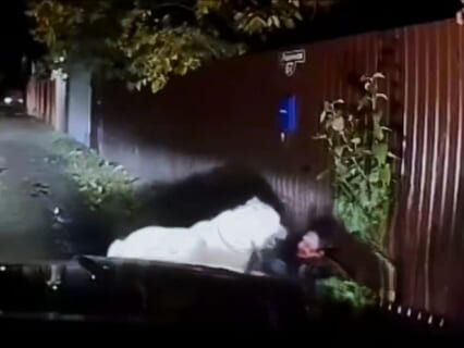 【閲覧注意】車の運転手さん、夜道で女がモンスターに顔と手足を食われてるのを発見してしまう…（動画あり）