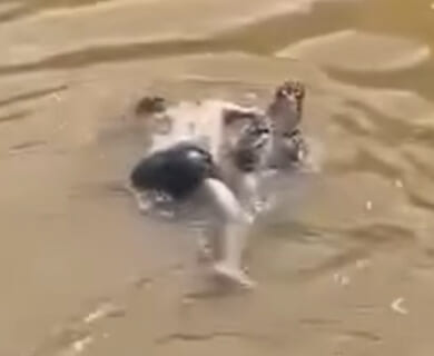 【閲覧注意】漁師さん、仲間がトンデモナイ生物に食べられてる所を撮影してしまう（動画あり）