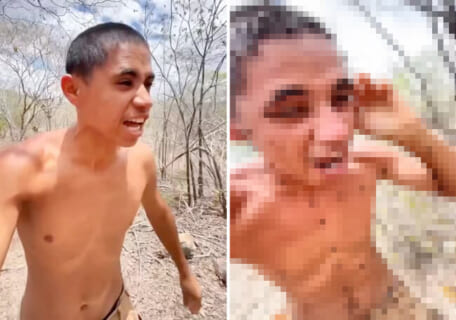 【閲覧注意】これガチでアカンやつ…世界一ヤバいミツバチの巣に突っ込むアホがコチラ…（動画あり）