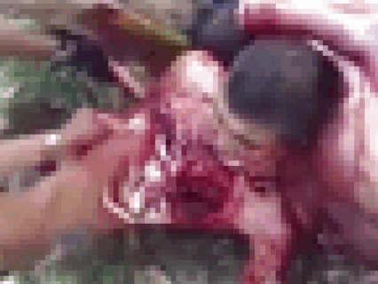 【超！閲覧注意】３分半の動画