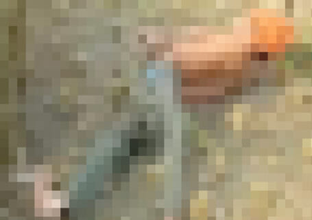 【閲覧注意】ニートさん、この動画を見たら全員働くらしい。ヤバすぎだろ・・・