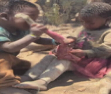 【閲覧注意】これがAIじゃなく本物の映像とか信じられない・・・