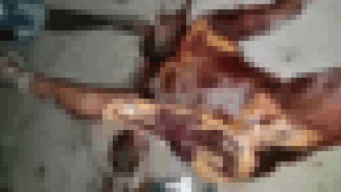 【超！閲覧注意】伝説のグロ動画（女編）