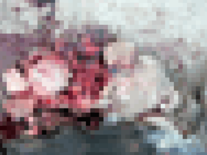 【閲覧注意】上空1000mでパラシュートが開かなかった人間の死体画像、ヤバすぎる