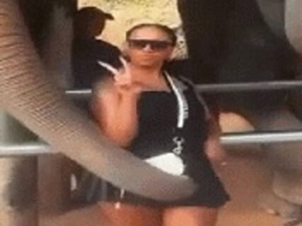 【衝撃映像】象が「人間の女性のマ○コ」を臭った結果・・・マジかよこれｗｗｗ