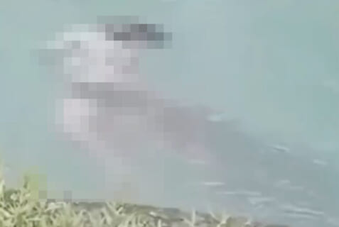 【閲覧注意】「この川には化け物が住んでるから入るな！」⇒ 警告を無視した女さんはこうなる