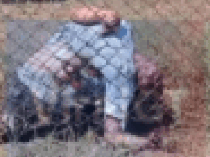 【閲覧注意】とある刑務所、脱獄犯が全員死ぬトラップを仕掛けた結果・・・（動画あり）