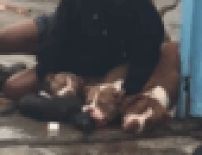 【閲覧注意】アメリカでこの世の地獄としか思えない光景、撮影される…（動画あり）