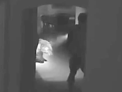 【衝撃映像】家に侵入した熊 vs ライフル銃で迎え撃つ男、凄すぎる結末に…