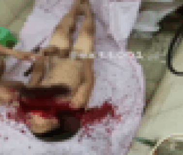 【閲覧注意】2025年伝説を作ったグロ動画の犯人、逮捕される。その家の中がヤバすぎた…