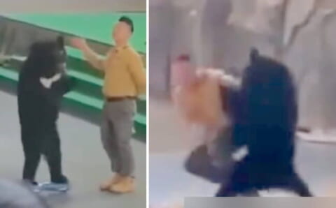 【閲覧注意】中国サーカスで虐待されてた熊、団員にブチキレて「捕食モード」になった結果（動画あり）