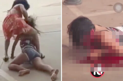 【閲覧注意】世界一ヤバい女に喧嘩を売った女子、顔面が取り返しつかない状態に…（動画あり）