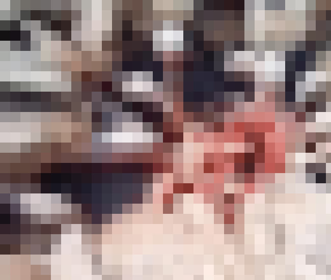 【超!閲覧注意】 海外で1億再生された ”伝説のGIF” 、これやっぱ凄すぎる