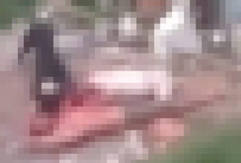 【閲覧注意】ブラジルの泥棒、侵入先で飼われてた ”クッソヤバい生物” に生きたまま食われる