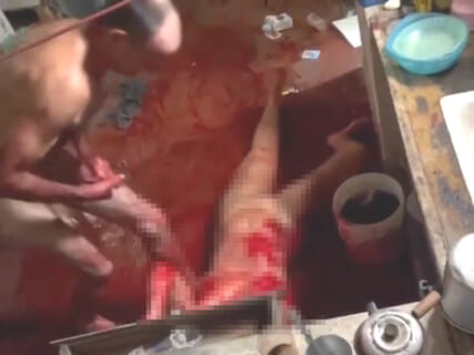 【閲覧注意】隣の家から叫び声が聞こえて行ったら、全裸女性がこうされてたんだがどうしたらいい？（動画）