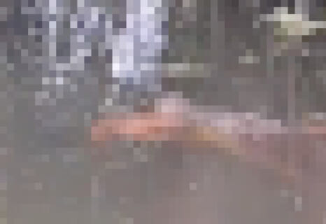 【閲覧注意】立入禁止の川で遊んでた「わんぱく小学生」の末路・・・（動画あり）