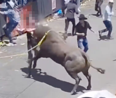 【閲覧注意】牛追い祭りで伝説のグロ動画爆誕 ⇒ 牛が人間の顔を ”爆発” させてしまう