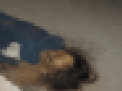 【閲覧注意】アメリカでこんなものが見つかっていいのかよ・・・・・