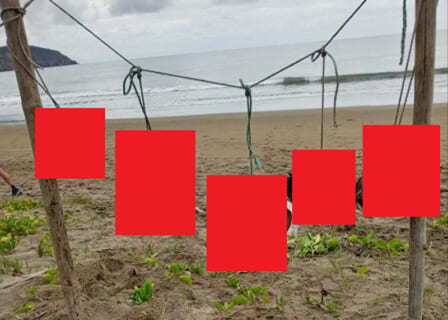 【閲覧注意】漁師５人、全員一緒にとんでもない死に方してしまう（画像あり）