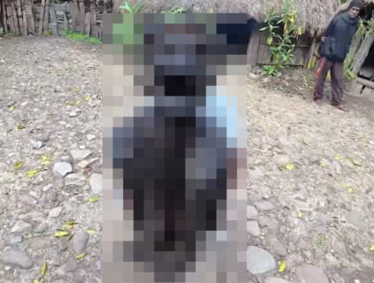 【閲覧注意】パプアの部族が見せてくれた呪物「300年前の人間」がヤバすぎた（画像あり）