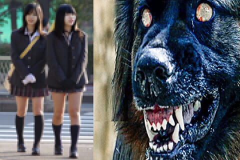 【閲覧注意】中国の「狂犬病ゾーン」を通った女子高生、終わる…（動画あり）