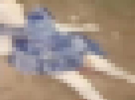 【閲覧注意】男さん、幼女のこんな動画（18禁）撮影しちゃいけないだろ・・・