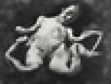 【閲覧注意】見世物小屋にいる全裸女性、いくらなんでもヤバすぎる（画像あり）