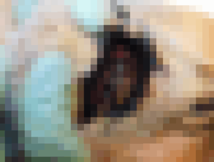 【閲覧注意】コロナワクチン摂取で死亡 → 国から1800万円が支払われた男性の死体画像がヤバすぎる