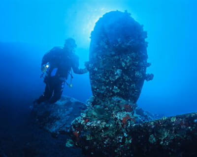 【閲覧注意】海でサメよりシャチよりヤバい「コレ」に殺された人間の動画、怖すぎる