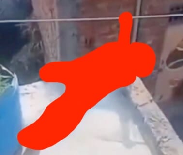 【閲覧注意】目の前で死にゆく我が子を「見るだけ」しかできない親の気持ち、地獄すぎる…（動画あり）