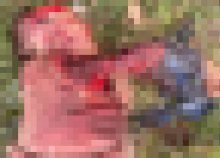 【閲覧注意】ピットブル犬が女性を生きたまま食い尽くす動画、ヤバすぎだろ・・・