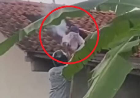 【閲覧注意】民家の修理業者「え！？スズメバチの巣がある！」⇒ エゲツない事になる…（動画あり）