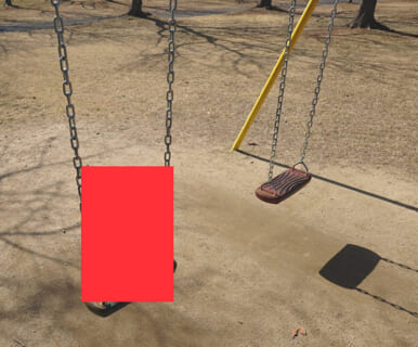 【閲覧注意】小学生、公園のブランコにいたずらで「コレ」が置かれててPTSDになる…（画像あり）