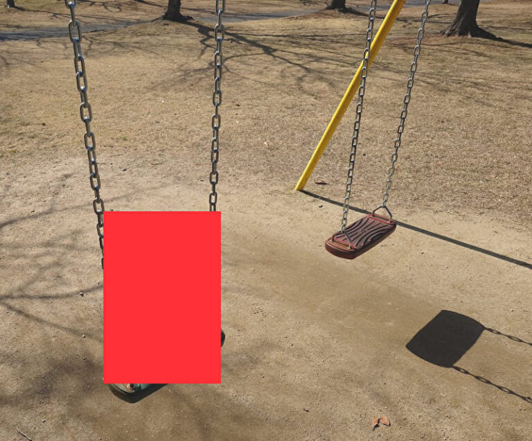 【閲覧注意】小学生、公園のブランコにいたずらで「コレ」が置かれててPTSDになる…（画像あり）