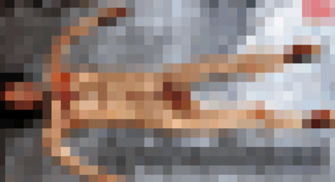 【超！閲覧注意】伝説の全裸女性の無修正画像、全4枚が発見される