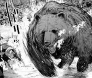 【閲覧注意】熊に一発ビンタされた女さん、目が「福笑い」みたいにズレてしまう…