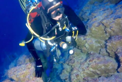 【閲覧注意】ダイバー「海底の穴の中に何かが詰まってる」⇒ 近付いて撮影した結果…（動画あり）