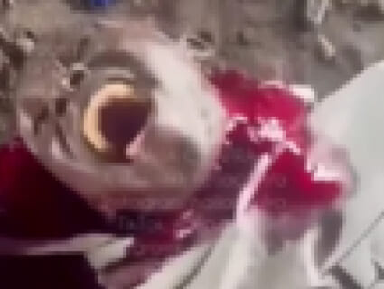 【閲覧注意】人間の斬首を途中でやめたら恐ろしい事が起こるらしい・・・（動画あり）