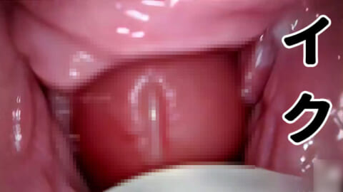 【動画】女の子「マ●コにカメラ入れてセ○クスしたら、イク時ヤバい事になってたｗｗｗ」