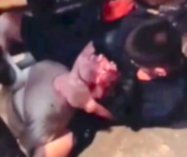 【閲覧注意】銃で撃たれるより「素手で殺される」のが一番キツイって、これ見たらマジで分かるわ…