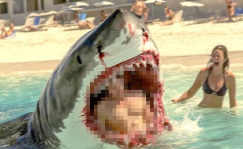 【閲覧注意】サメに食べられた男性　これだけしか残らなかった・・・（動画あり）