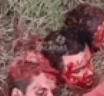 【閲覧注意】ギャングが斬首した３人の頭部を撮るも、信じられない事が起こる動画・・・