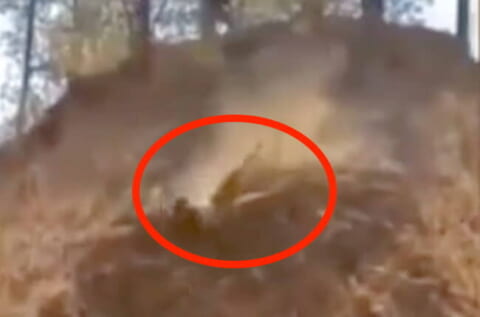 【閲覧注意】ギャングに ”3回殺された” 男の動画…そこまでやるかよ…