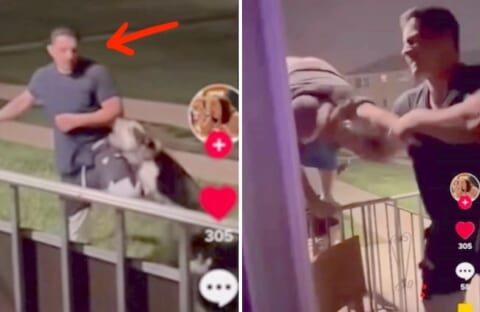 【衝撃映像】ご近所トラブルでピットブルを放った飼い主、隣人が強すぎて犬ごとボコボコにされる