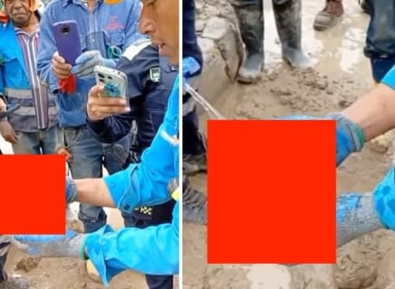 【閲覧注意】建設現場で見つかった謎の「丸い物体」、よく見たら絶対にあってはいけないモノだった…