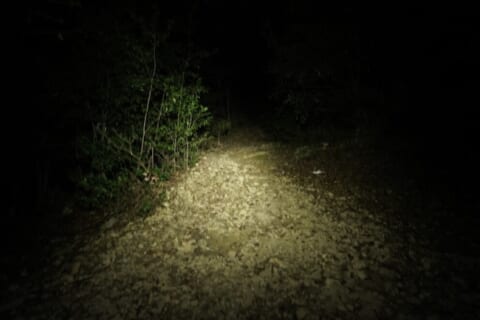 【閲覧注意】夜の山でこうなったら、もう死を受け入れるしかないらしい…（動画あり）
