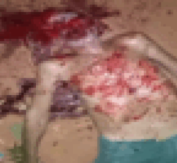 【閲覧注意】父親にどれだけの恨みがあったらこんな事できるんだよ・・・（動画あり）