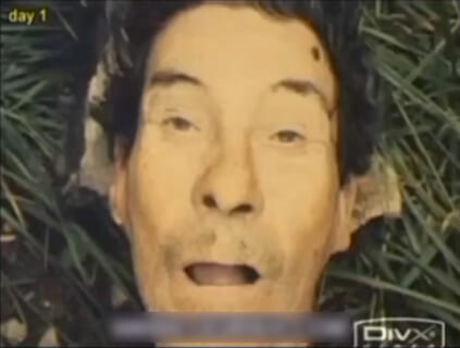 【閲覧注意】伝説の動画。人間の死体にカメラをセットし、14日間放置したらヤバい事が起きる