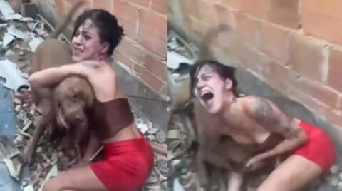 【閲覧注意】ギャング、10代美少女への拷問に「ピットブル犬」を使ってしまう…（動画あり）