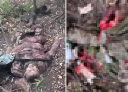 【閲覧注意】ウクライナの戦場で ”死んだふり” してはいけない理由・・・（動画あり）